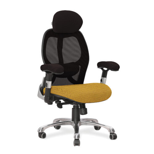 Ergo – Two Tone Ergonomic Luxury High Back Executive Mesh Chair with Chrome Base Certified for 24 Hour Use