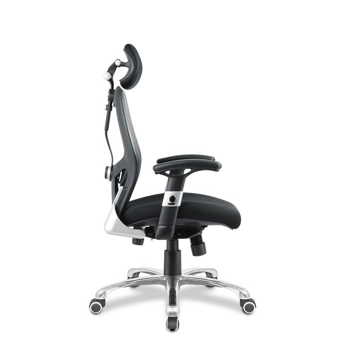 Ergo - Ergonomic Luxury High Back Executive Mesh Chair Certified for 24 Hour Use.